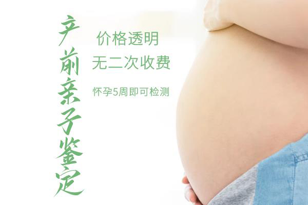 湖南怀孕42天能做胎儿亲子鉴定吗,湖南办理无创产前亲子鉴定怎么收费 湖南怀孕42天能做胎儿亲子鉴定吗,湖南办理无创产前亲子鉴定怎么收费